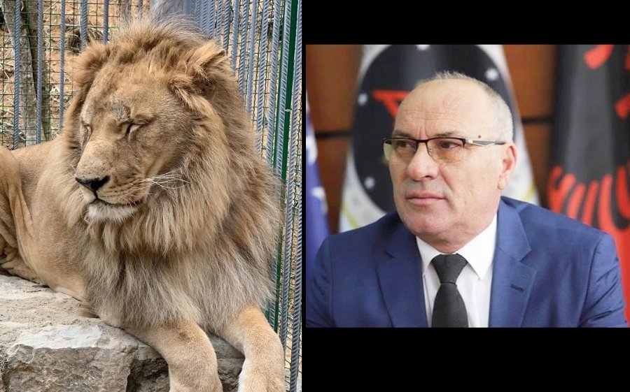 Luani i Gjakovës bëhet ‘legjendë’ në PE, Kosova vendos: Transferim nëpërmjet Shqipërisë