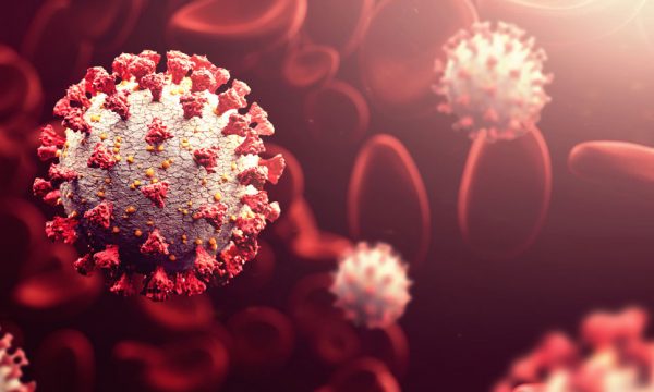 1 mijë e 765 raste të reja me COVID-19, 5 vdekje në Kosovë