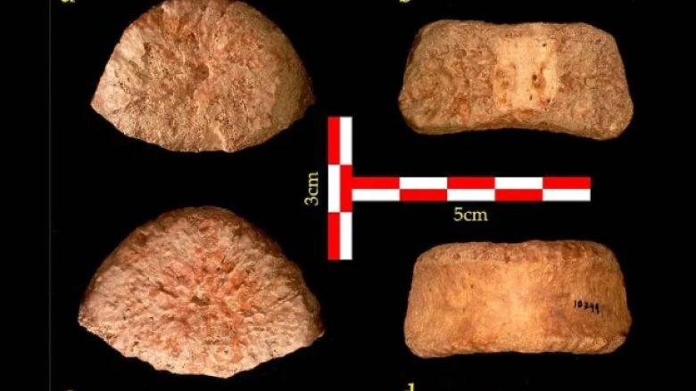 Në Izrael zbulohen eshtra të fëmijës të vjetër mbi 1.5 milion vjet
