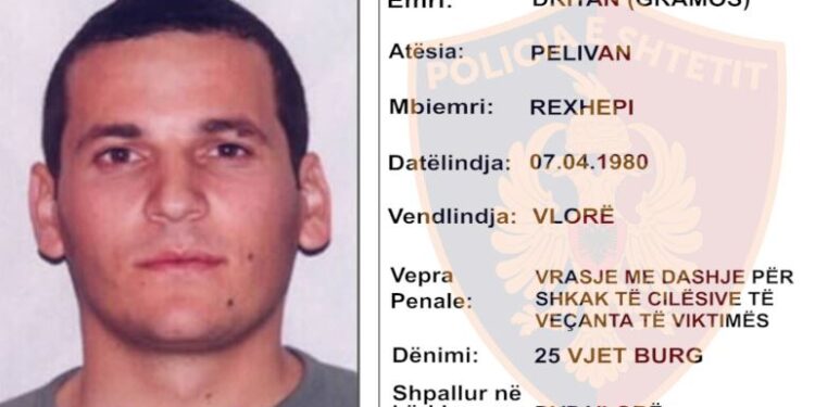 Vrasja e dy policëve në Krujë, Kushtetuesja vendos moskalimin e çështjes së Dritan Rexhepit