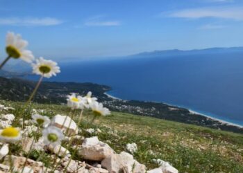 BIRN: Ligji i ‘Investimeve Strategjike’ propozohet të shtyhet për herë të tretë