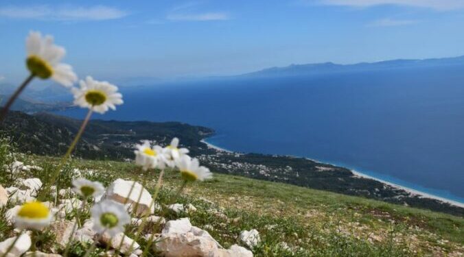 BIRN: Ligji i ‘Investimeve Strategjike’ propozohet të shtyhet për herë të tretë