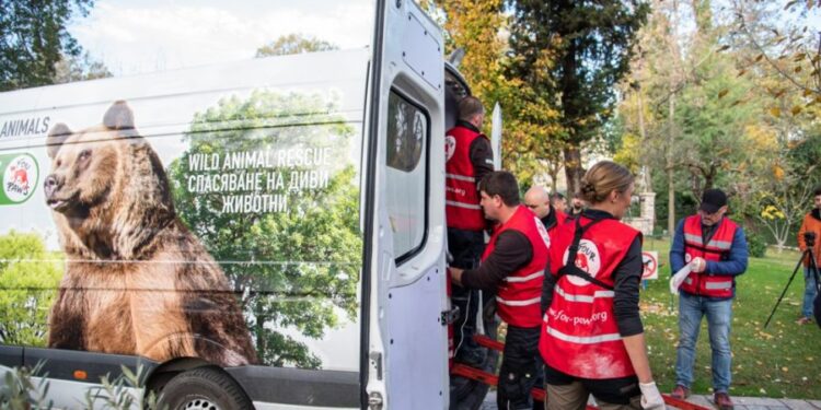 Organizata denoncon mbajtjen në robëri të kafshëve të egra në Shqipëri