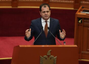 Porti i ri, Bylykbashi: Qeveria po u grabit shqiptarëve me një akt normativ 400 mln dollarë