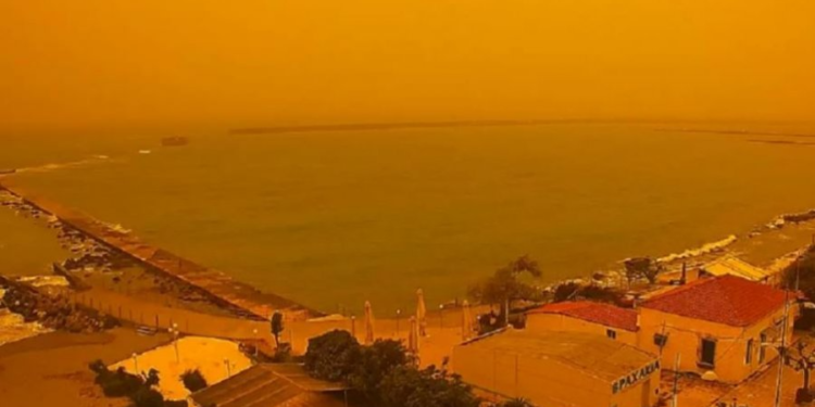 Pluhuri afrikan ka mbuluar disa zona, duke u kthyer në një shqetësim për banorët.