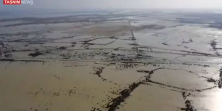 Stuhitë dhe përmbytjet në Iran, autoritetet paralajmërojnë rrezikun e krokodilëve! Po enden lirshëm nëpër rrugë