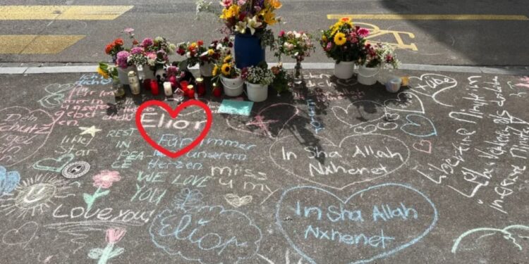 Tragjedi në Zvicër! Kamioni përplas për vdekje 11-vjeçarin shqiptar, po kthehej nga dita e fundit e shkollës me motrën e vogël