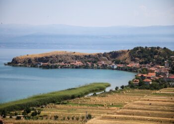 Vendbanimi i lashtë i Linit zbulon se si u përhap bujqësia në Evropë