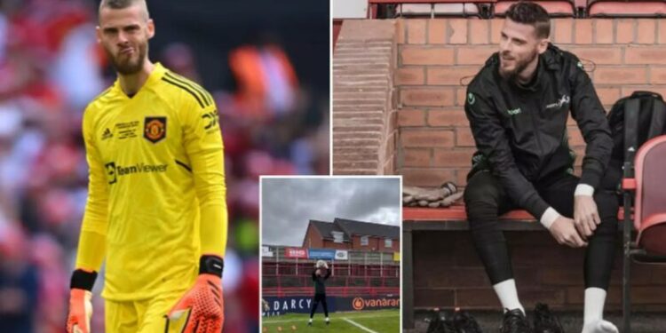 Kërkesat e çmendura të De Geas që kanë bërë që ai të mbetet pa ekip