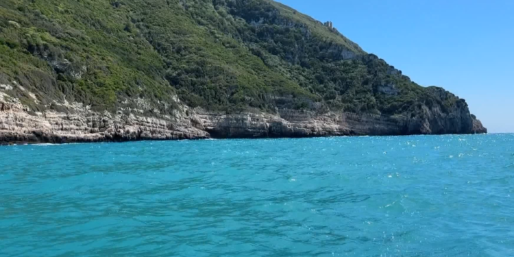 “Sazani konkurron Greqinë”/ Jehona në mediat helene për projektin e vajzës së Donald Trump në Shqipëri