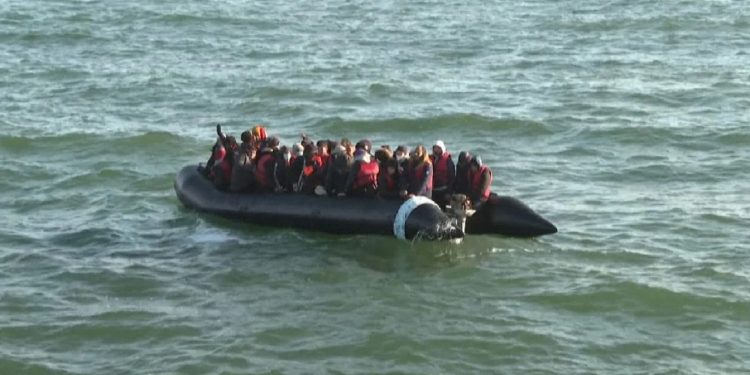 Dënimi me 2 vite burg, Beleri bën rekurs në Gjykatën e Lartë