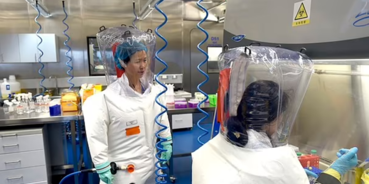 Studimi tronditës: Laboratori kinez nga ku doli Covid-19 mund të ketë lëshuar tjetër virus vdekjeprurës