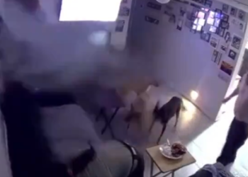 Ishin ulur për të darkuar, makina i “mbin” në dhomën e ndenjes çiftit (video)