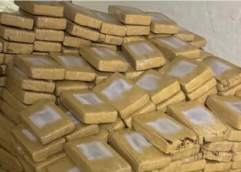 Rritet numri i shqiptarëve në krimin e organizuar në Gjermani, zbardhet raporti