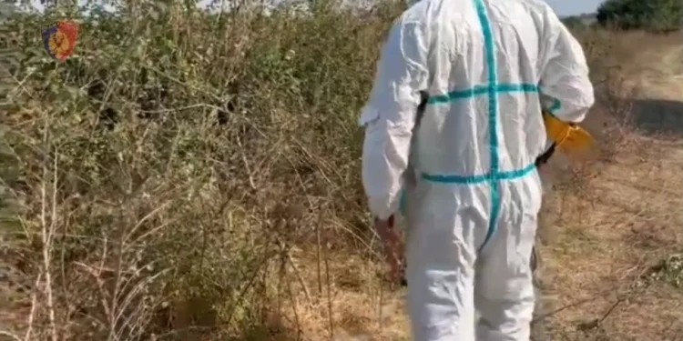Zbardhet dinamika e krimit horror në Durrës/ Pas vrasjes 30-vjeçari denoncoi se babai ishte larguar nga banesa me një grua të panjohur, djali tjetër gjeti në telefon…