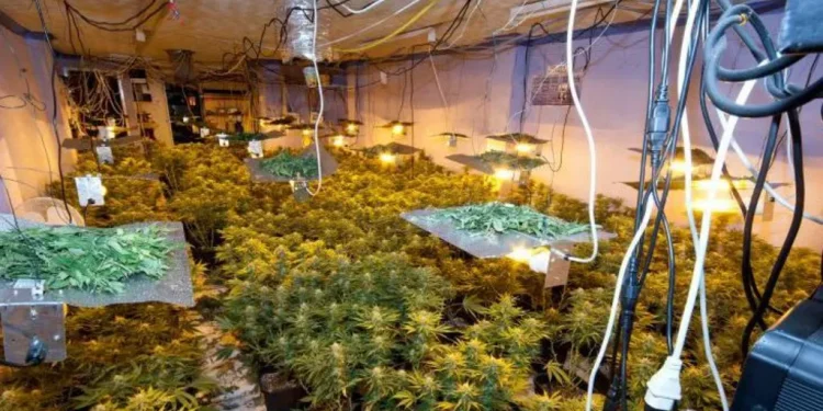 BBC: Goditje bandave shqiptare që skllavërojnë njerëz në “shtëpi bari”