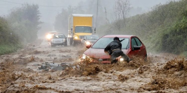 Akuza të rënda ndaj Frontex-it
