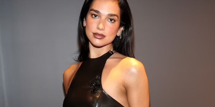 Tmerri i zjarrit në Los Anxhelos, Dua Lipa largohet nga zonat e rrezikshme