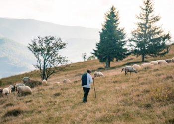 Para 177 viteve doli gazeta e parë shqiptare ​“L’albanese d’Italia”