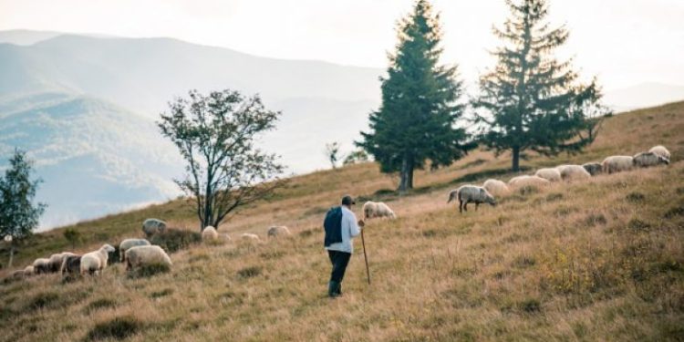 Para 177 viteve doli gazeta e parë shqiptare “L’albanese d’Italia”