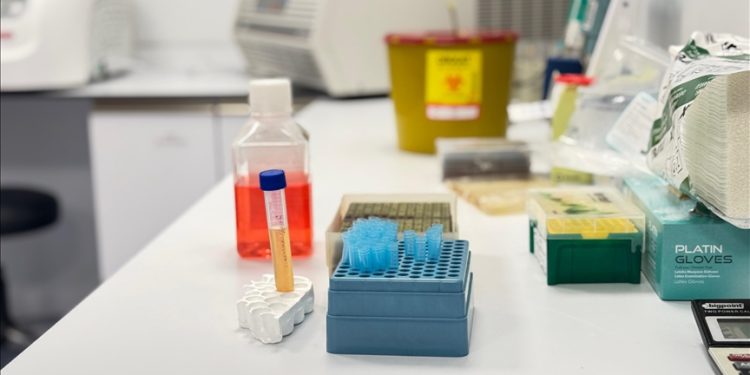 Britani, shkalla e vdekjeve nga kanceri 60 për qind më e lartë në zonat më të varfra