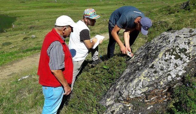E rrallë/ Një lloj i ri Shafrani, i sapo zbuluar në Shqipëri