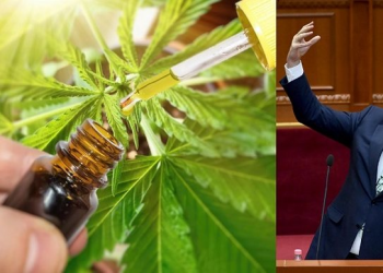 Rama i hap rrugës mbjelljes së ligjshme të kanabisit