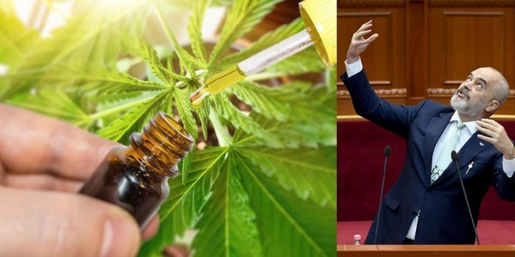 Rama i hap rrugës mbjelljes së ligjshme të kanabisit