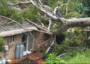 Moti i keq në Australi, cikloni Alfred lë 200 mijë familje pa energji elektrike