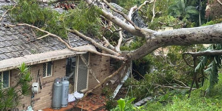 Moti i keq në Australi, cikloni Alfred lë 200 mijë familje pa energji elektrike