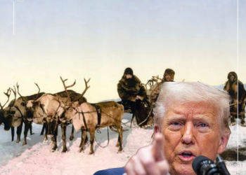 Grenlanda, Eldorado i bardhë që Trumpi dëshiron t’ua rrëmbejë inuitëve