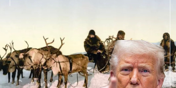 Grenlanda, Eldorado i bardhë që Trumpi dëshiron t’ua rrëmbejë inuitëve