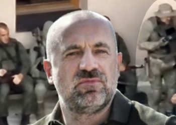 Analisti serb, Janjiq: Vuçiq mund ta përdorë kundër protestuesve grupin e Radoiçiqit