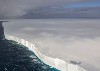 Zbulimi i çuditshëm në Antarktidë, shkencëtarët gjejnë ekosistem të paprekur nga drita poshtë ajsbergut 19 milje të gjatë