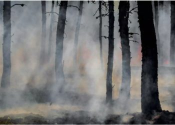 Britania e Madhe përballet me rrezikun në rritje të zjarreve për shkak të ndryshimeve klimatike