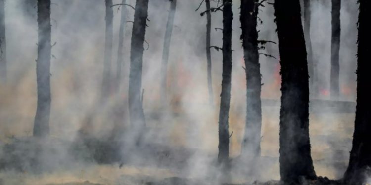 Britania e Madhe përballet me rrezikun në rritje të zjarreve për shkak të ndryshimeve klimatike