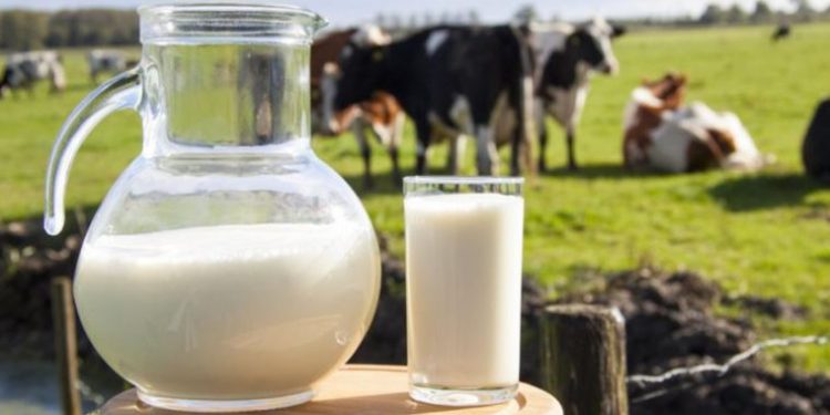 AKU konfirmoi se qumësht me aflatoksinë është konsumuar edhe në Vlorë, reagojnë 2 shoqata