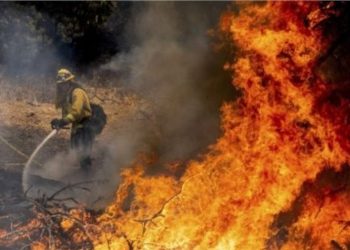 Studimi: Grimcat nga zjarri përkeqësojnë shëndetin mendor