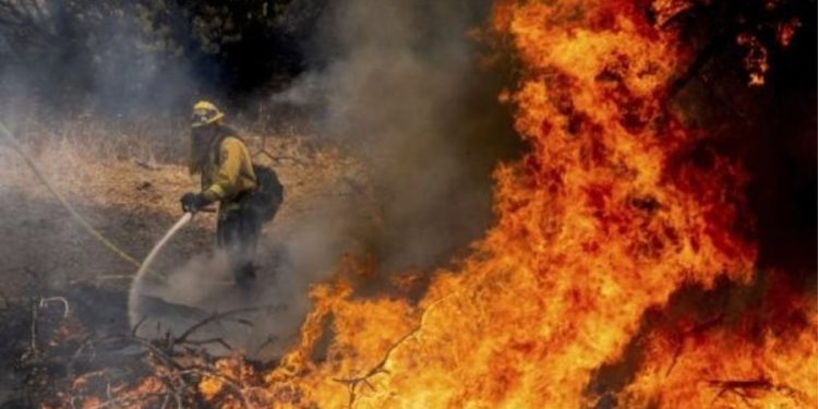 Studimi: Grimcat nga zjarri përkeqësojnë shëndetin mendor