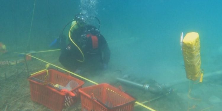 Fshati 8.500-vjeçar! Projekti i zbulimit të vendbanimit të Linit tregon rrugëtimin e njerëzimit