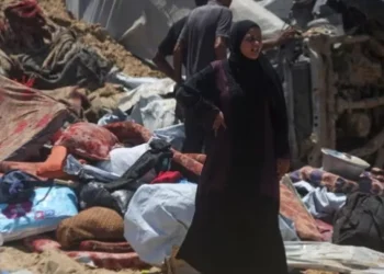 Deputetët laburistë kërkojnë që Britania të njohë menjëherë shtetin palestinez