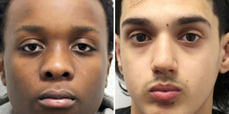 Dy adoleshentë dënohen me burgim të përjetshëm në Britani për vrasjen e një 14-vjeçari në autobus