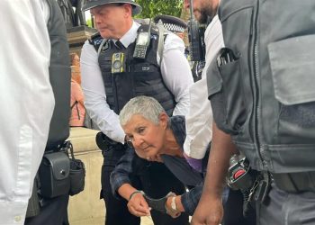 “Palestine Action” shpallet organizatë terroriste në Angli, 29 në pranga