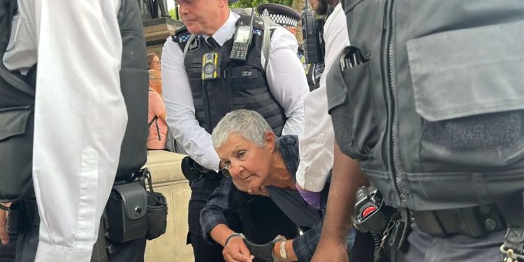 “Palestine Action” shpallet organizatë terroriste në Angli, 29 në pranga