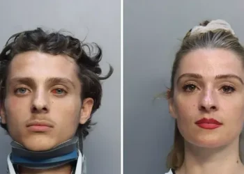 Nëna shqiptare tenton të shpëtojë djalin nga burgu, arrestohen të dy!