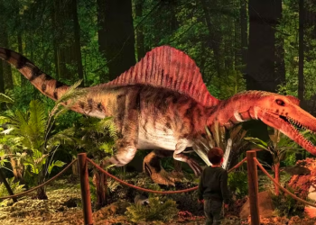 Zbulohet në Angli dinosauri i ri me “velë” në shpinë, dy metra i gjatë dhe me peshë një ton 