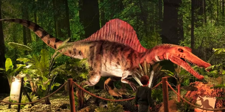 Zbulohet në Angli dinosauri i ri me “velë” në shpinë, dy metra i gjatë dhe me peshë një ton