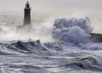 Stuhia Floris përfshin Skocinë dhe Anglinë