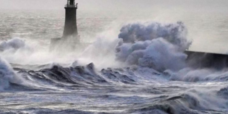 Stuhia Floris përfshin Skocinë dhe Anglinë