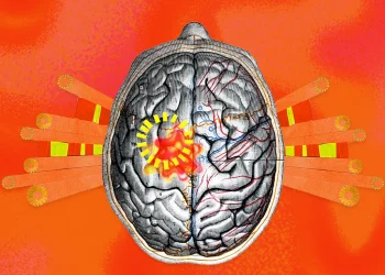 Bota po nxehet, bashkë me të edhe truri ynë: Çfarë po na shkaktojnë ndryshimet klimatike